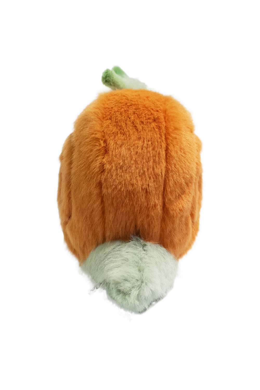 Wild&Soft-Garden Friedns-Salyangoz
