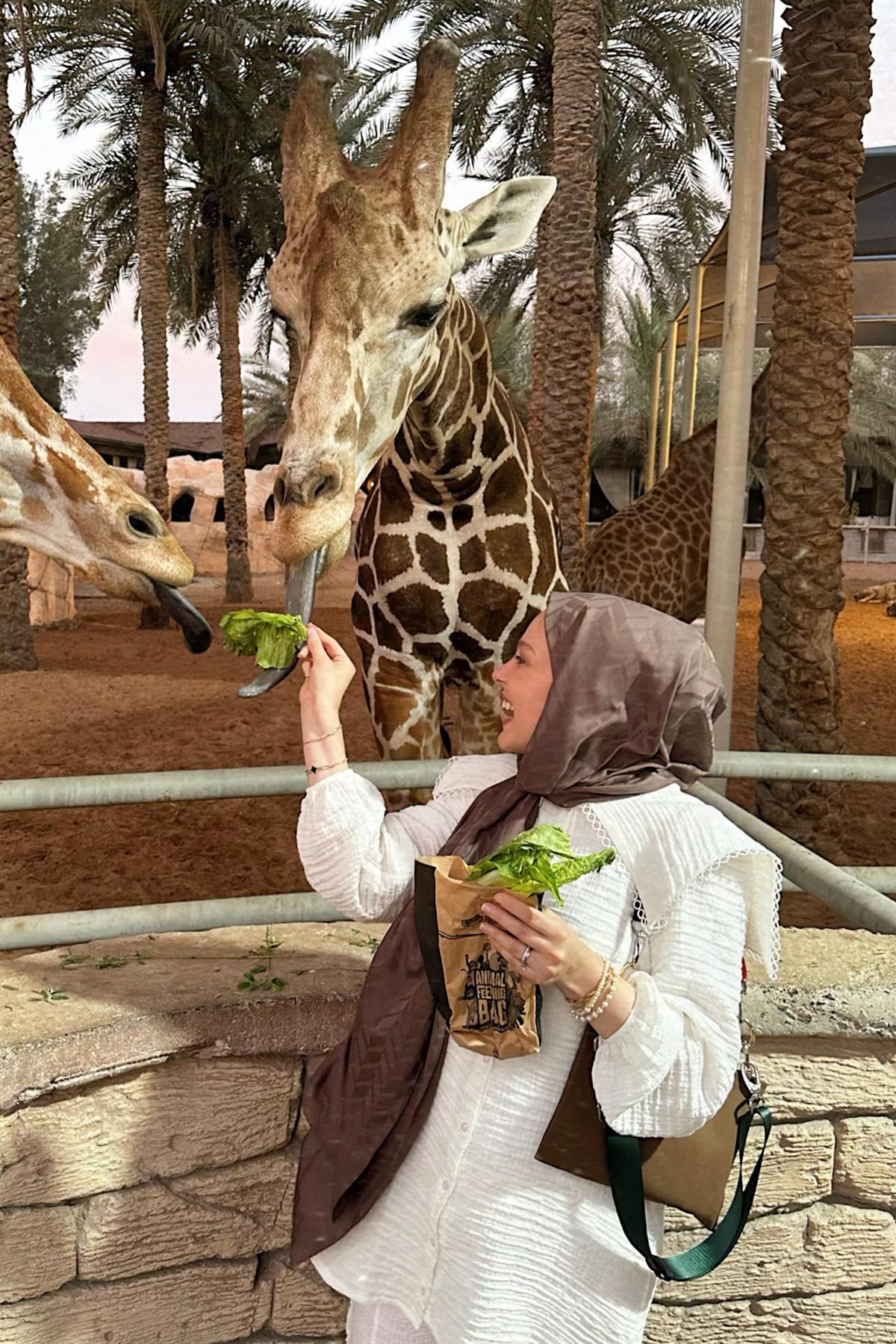 Rana CesurunTercihi Baklava Desen Pamuk İpek Şal Soft Kahve