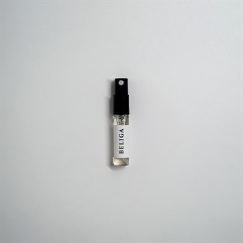 M31 Beliga - Homme Intense