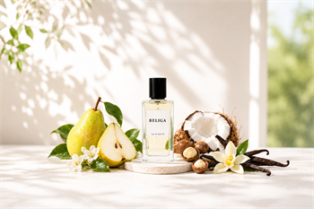 N388 Beliga - Free Coconut