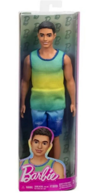 Barbie Yakışıklı Ken Bebekler DWK44-HYV00