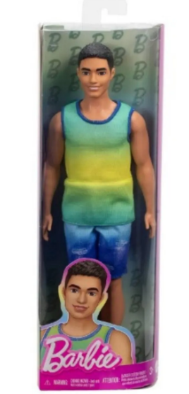 Barbie Yakışıklı Ken Bebekler DWK44-HYV00