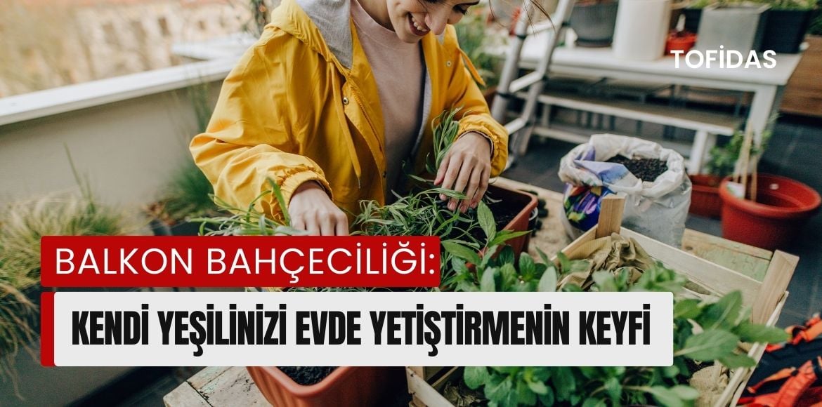 Balkon Bahçeciliği Kendi Yeşilinizi Evde Yetiştirmenin Keyfi