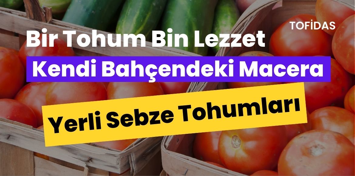 Bir Tohum, Bin Lezzet: Kendi Bahçendeki Macera Yerli Sebze Tohumları
