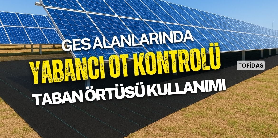 Güneş Enerjisi Elektrik Santrallerinde (GES) Yabancı Ot Kontrolü ve Sera Taban Örtüsü Kullanımı