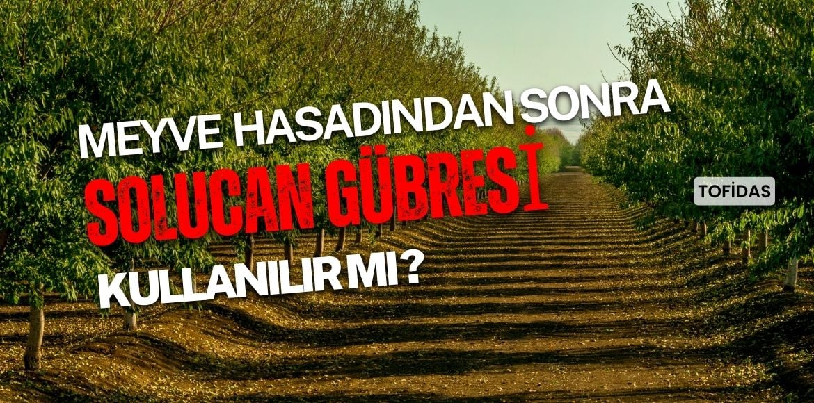 Solucan Gübresi Meyve Bahçelerinde KUllanılır Mı