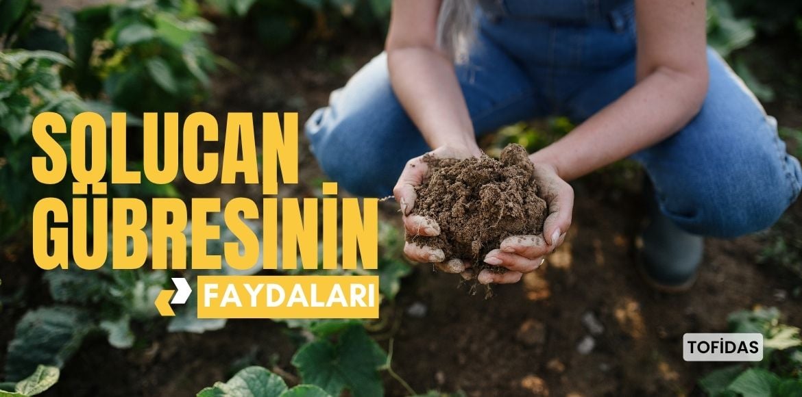 Solucan Gübresinin Faydaları Nelerdir ?