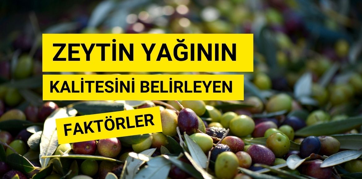 Zeytinyağının Kalitesini Belirleyen Faktörler