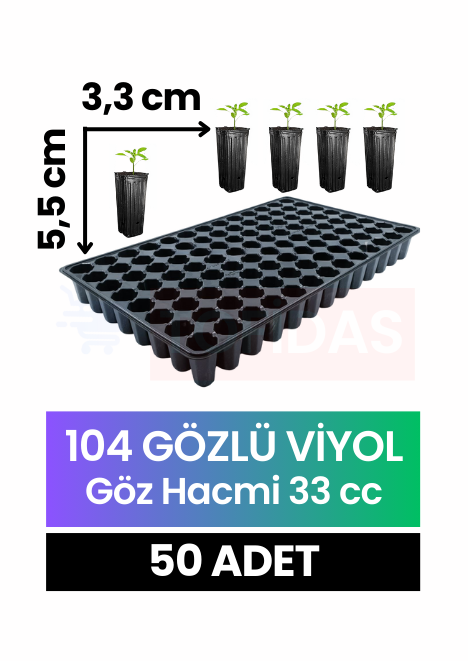 104 Göz Fide Viyolü 50 adet