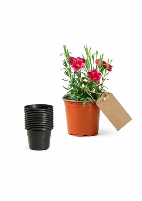 12 lik Üretim Saksısı