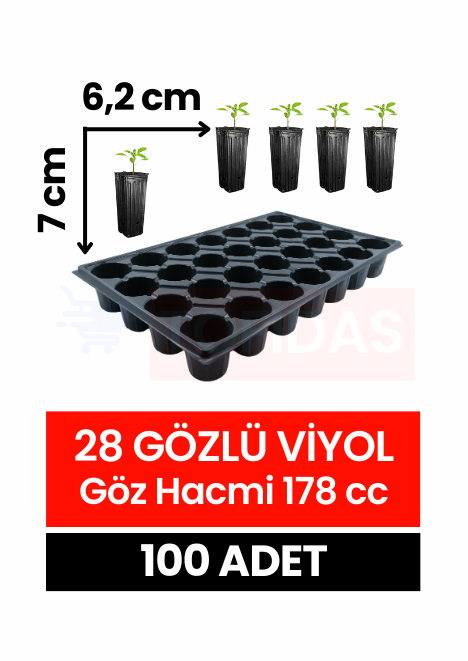 28 Göz Fide Viyolü 100 adet