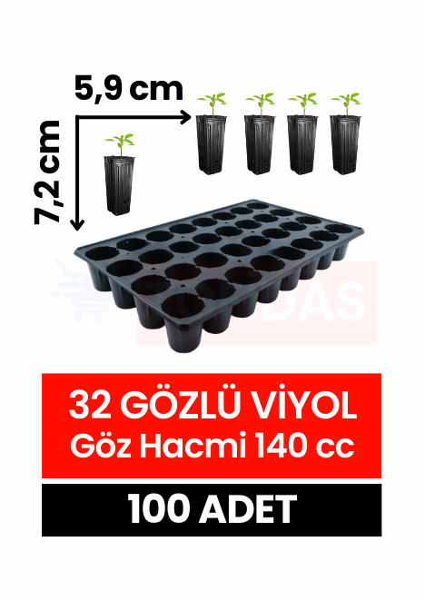 32 Göz Fide Viyolü 100 adet