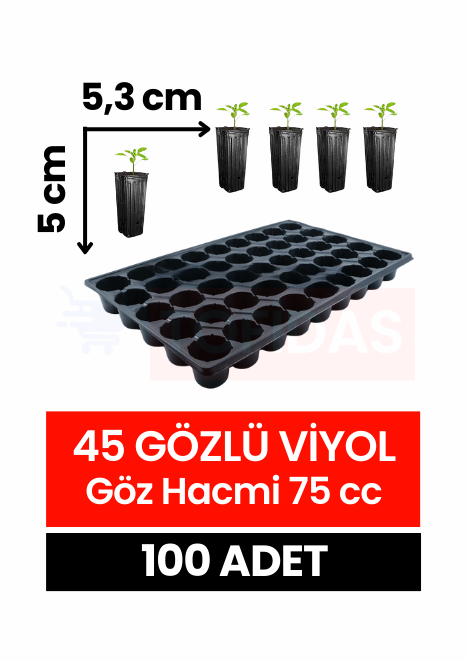 45 Göz Fide Viyolü 100 adet