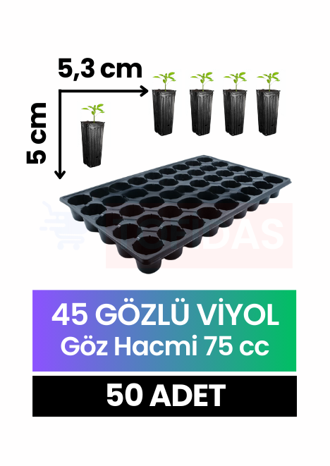 45 Göz Fide Viyolü 50 adet