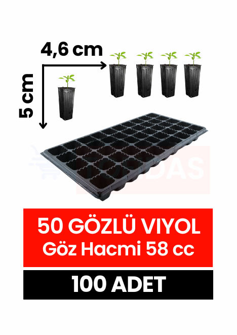 50 Göz Fide Viyolü 100 adet