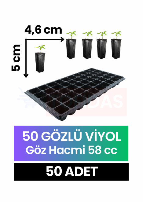 50 Göz Fide Viyolü 50 adet