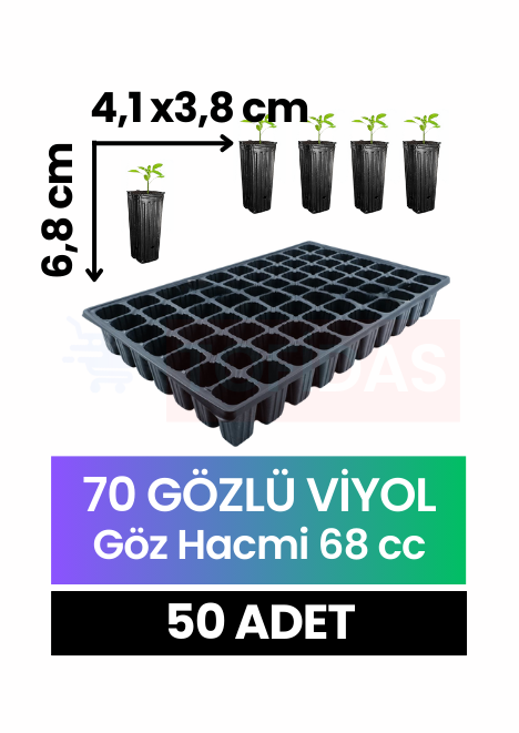 70 Göz Fide Viyolü 50 adet