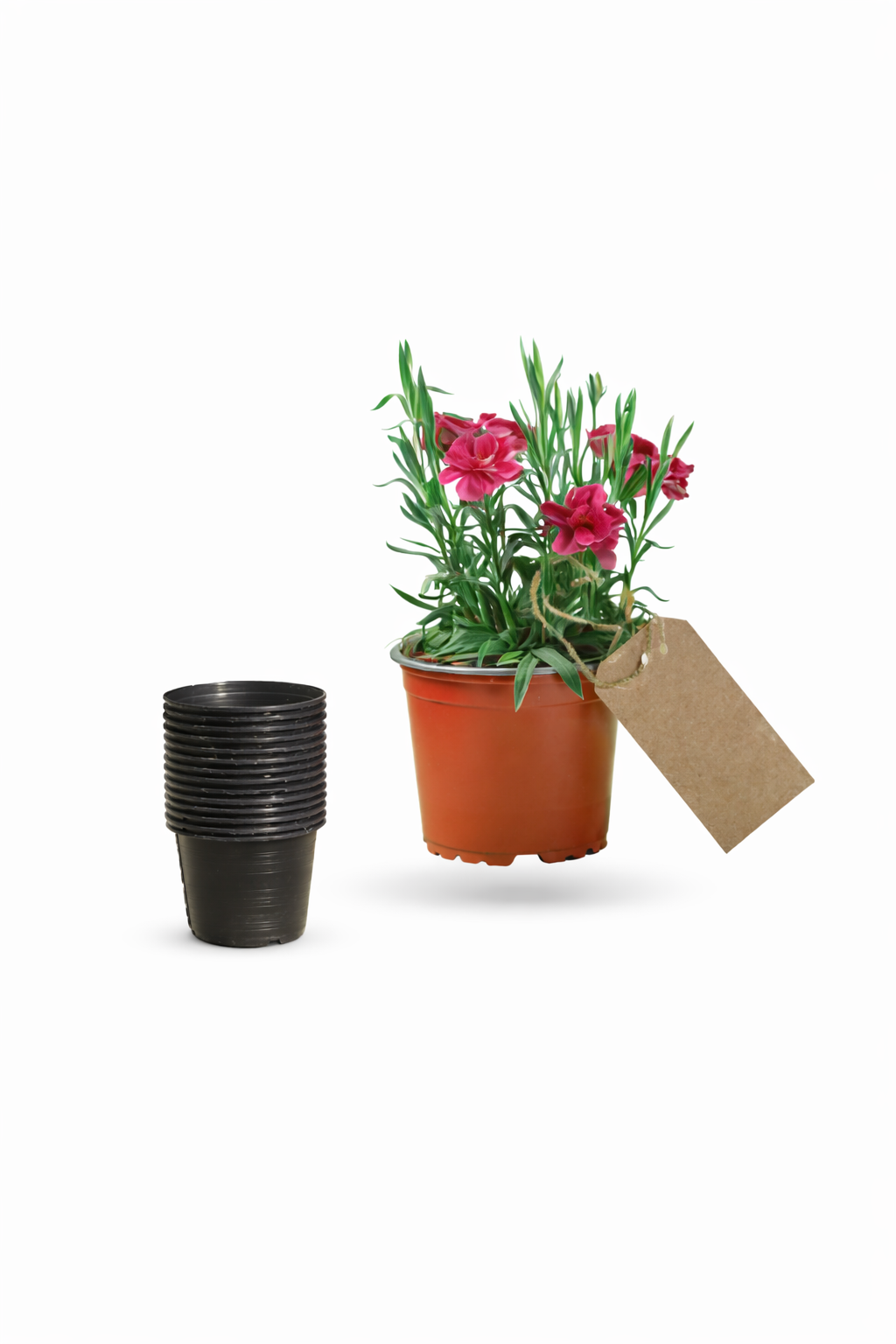 9 luk Üretim Saksısı Siyah