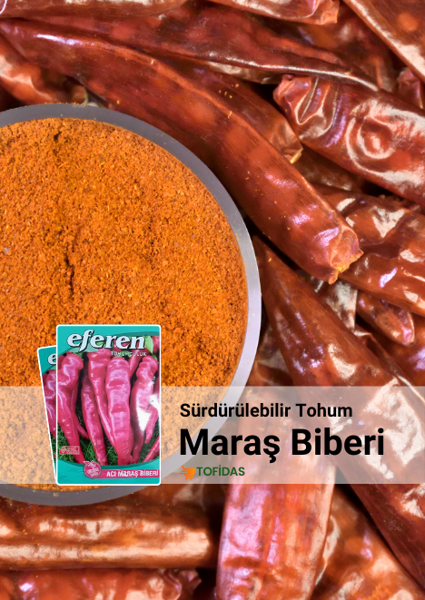 Acı Maraş Biber Tohumu 5 gr