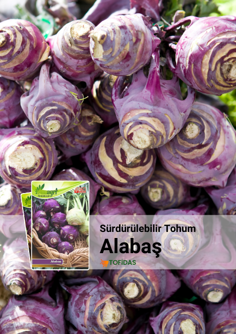 Alabaş Tohumu 10 Adet