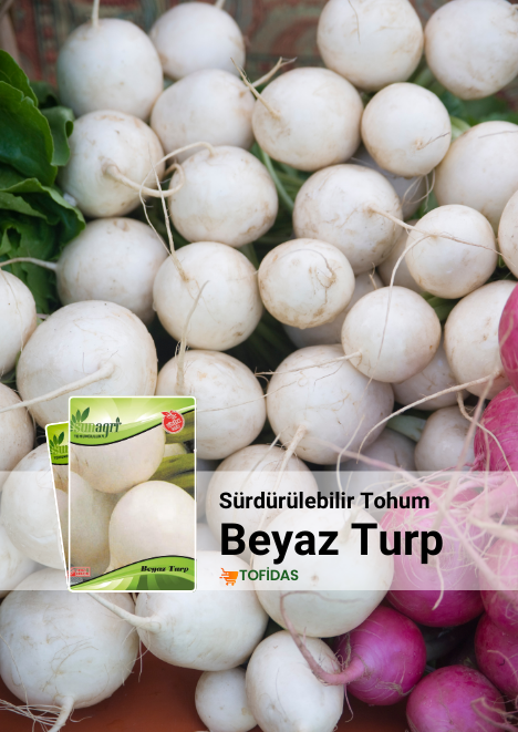Beyaz Turp Tohumu 10 gr