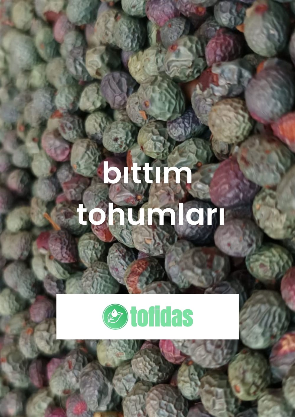 Bıttım Tohumu