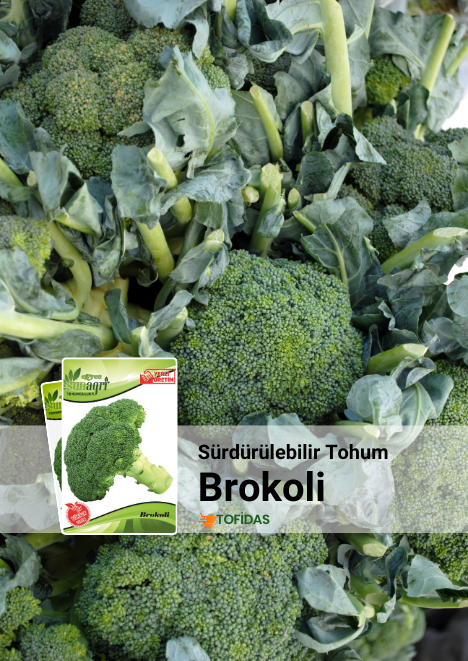 Brokoli Tohumu 105 adet