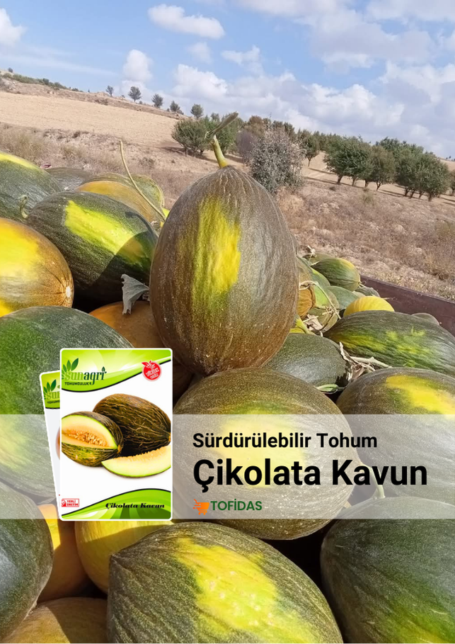 Çikolata Kavun Tohumu 5 gr