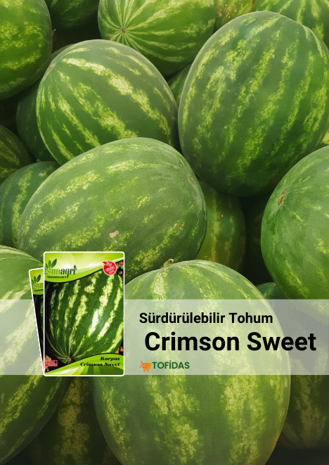 Crimson Sweet Karpuz tohumu 5 gr