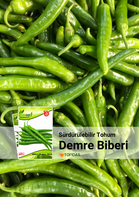 Demre Sera Biber Tohumu 5 gr