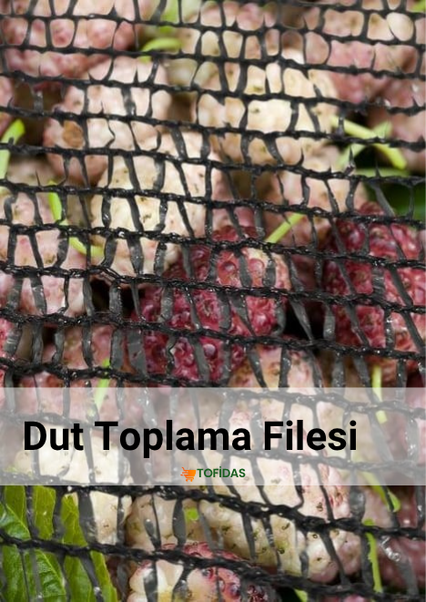 Dut Toplama Filesi %75lik