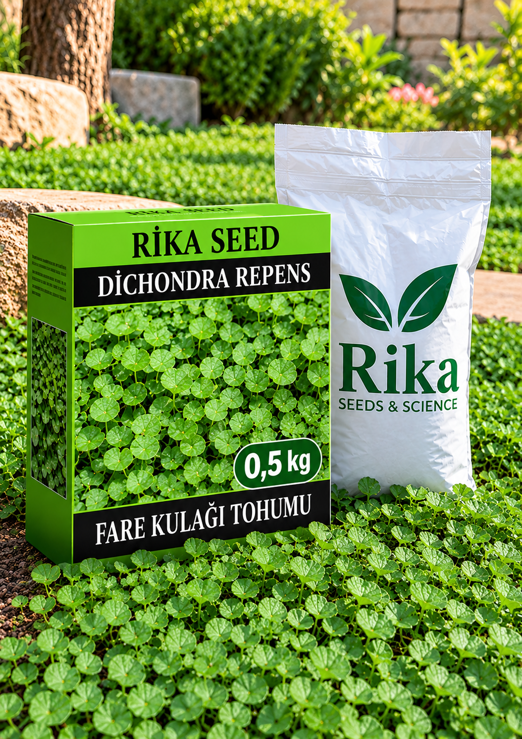 Fare Kulağı Tohumu (Dichondra Repens) 0,5 kg