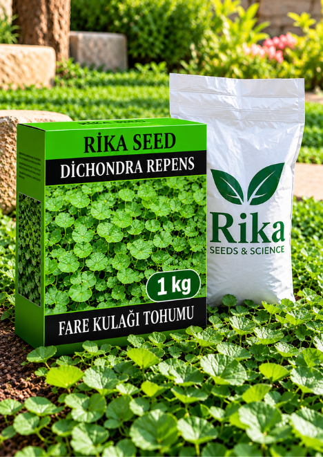 Fare Kulağı Tohumu (Dichondra Repens) 1 Kg 