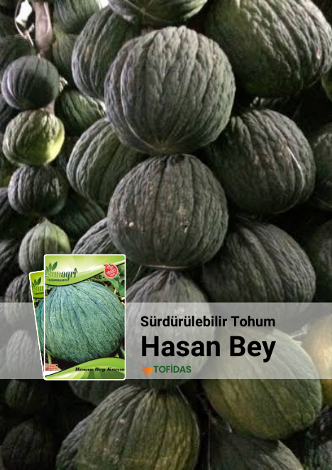 Hasanbey Kavunu Tohumu 5 gr