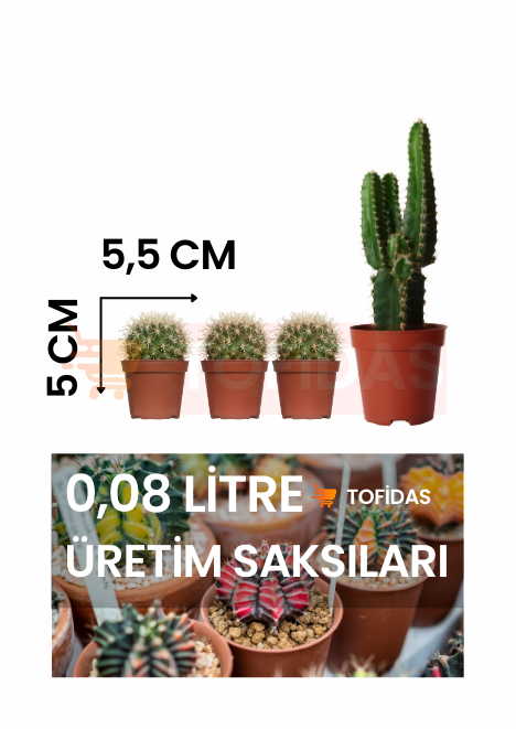 Kaktüs ve Sukulent Üretim Saksısı 5,5 cm