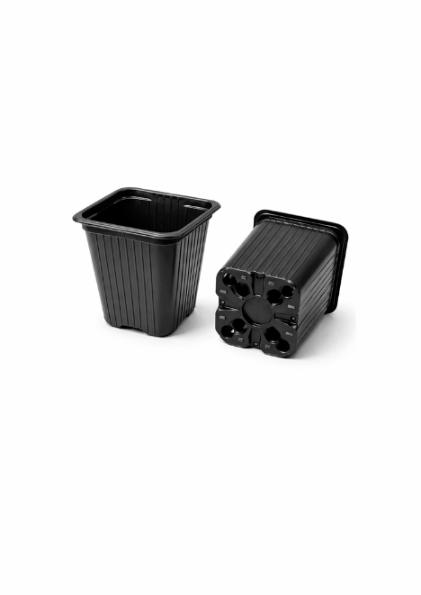 Kare Saksı 9x9x8 Termoform saksı