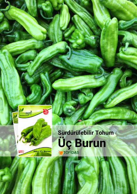 Mazamort Üç Burun Biber Tohumu 5 gr