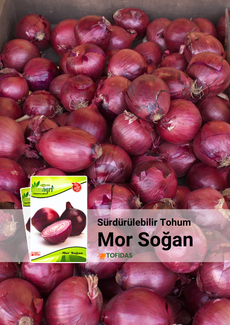 Mor Soğan Tohumu 2 gr
