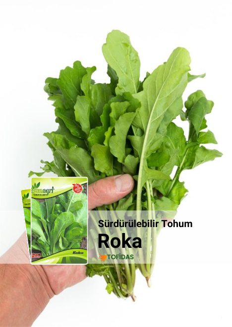 Roka Tohumu 10 gr
