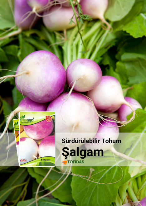 Şalgam Tohumu 5 g