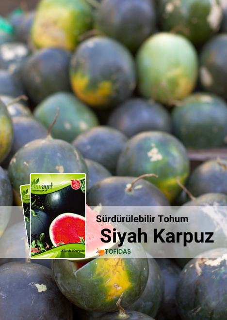 Siyah Karpuz 10 gr