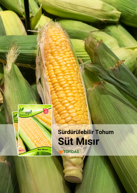 Süt Mısır Tohumu 10 gr