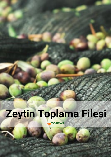 Zeytin toplama Filesi %75lik