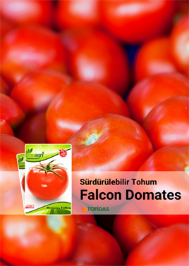  Falcon Domates Tohumu 5 gr