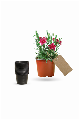 9 luk Üretim Saksısı Siyah