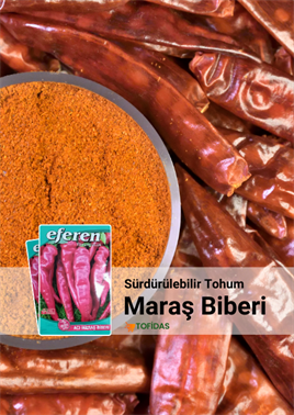 Acı Maraş Biber Tohumu 5 gr