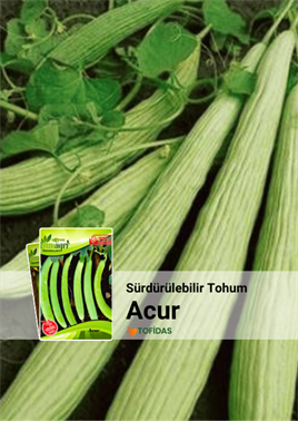 Acur Tohumu 5 gr