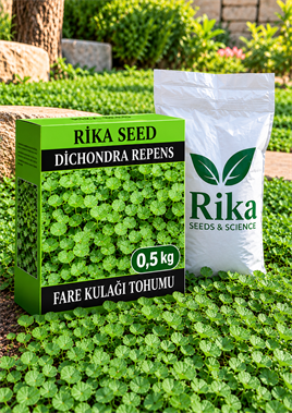 Fare Kulağı Tohumu (Dichondra Repens) 0,5 kg