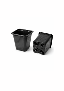 Kare Saksı 8x8x9 Termoform saksı