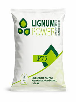 Lignum Power 1 kg